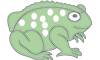 Dooks Golf Links - Natterjack Toad